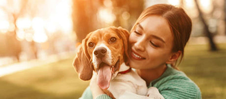 Travl hverdag med hund? - Tips til en bedre hverdag
