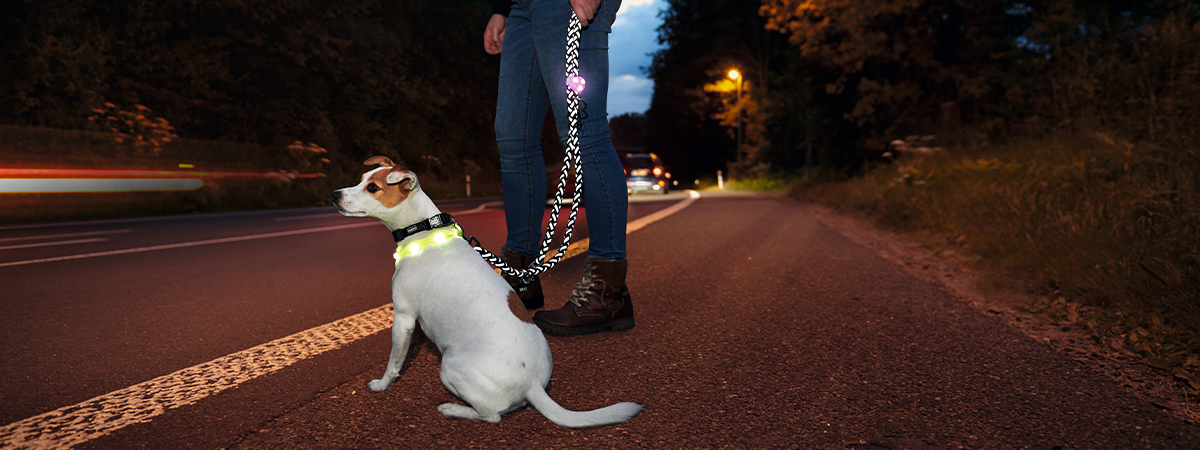 Sikkerhed i mørke for dig og din hund