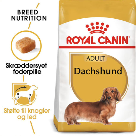 Adult Gravhund