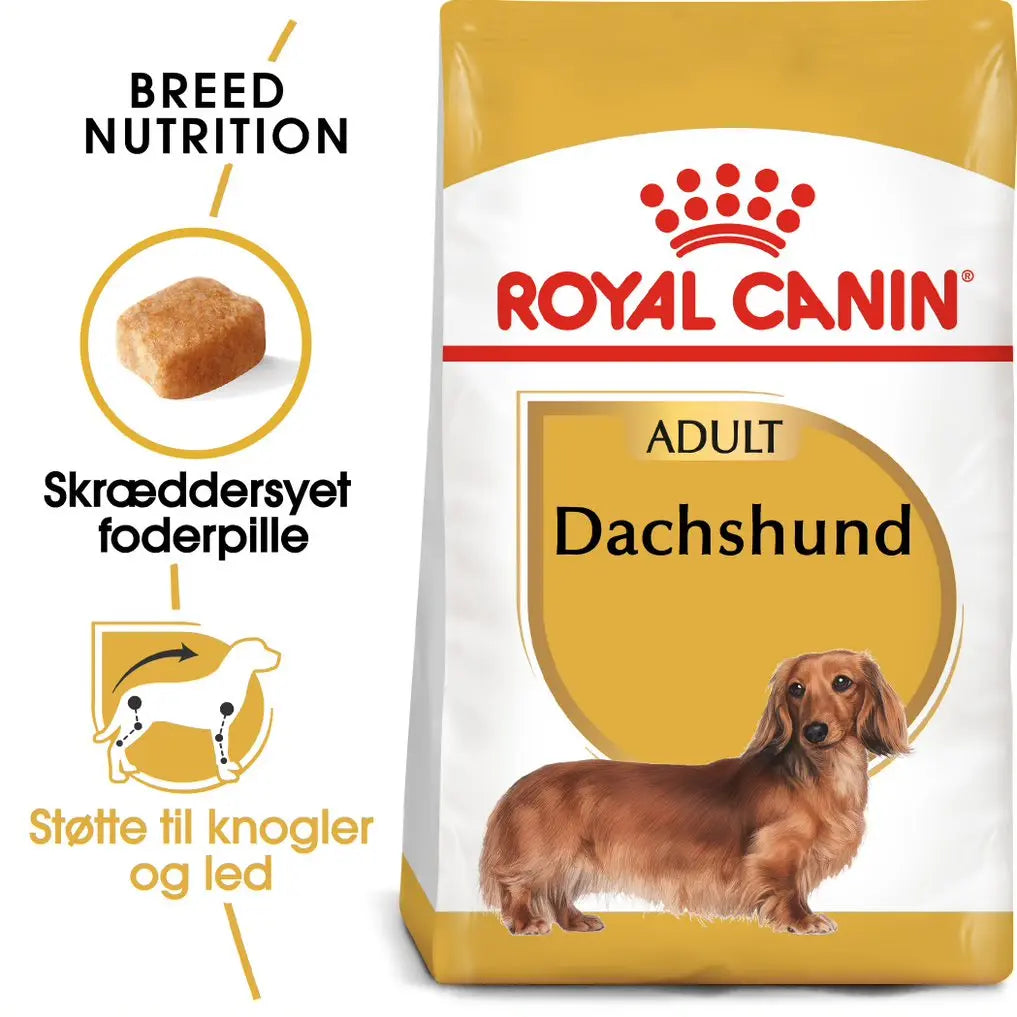 Adult Gravhund ROYAL CANIN