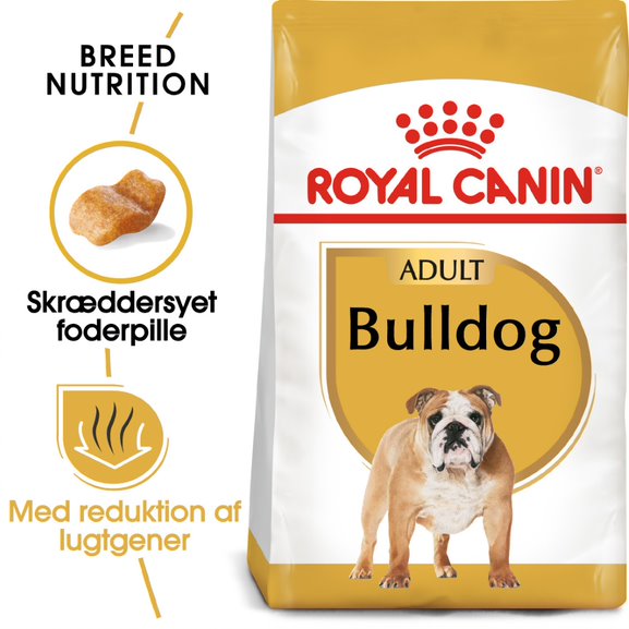Adult Bulldog 12 kg