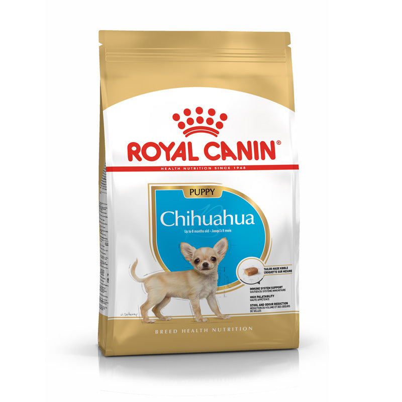 Puppy Chihuahua 1,5 kg