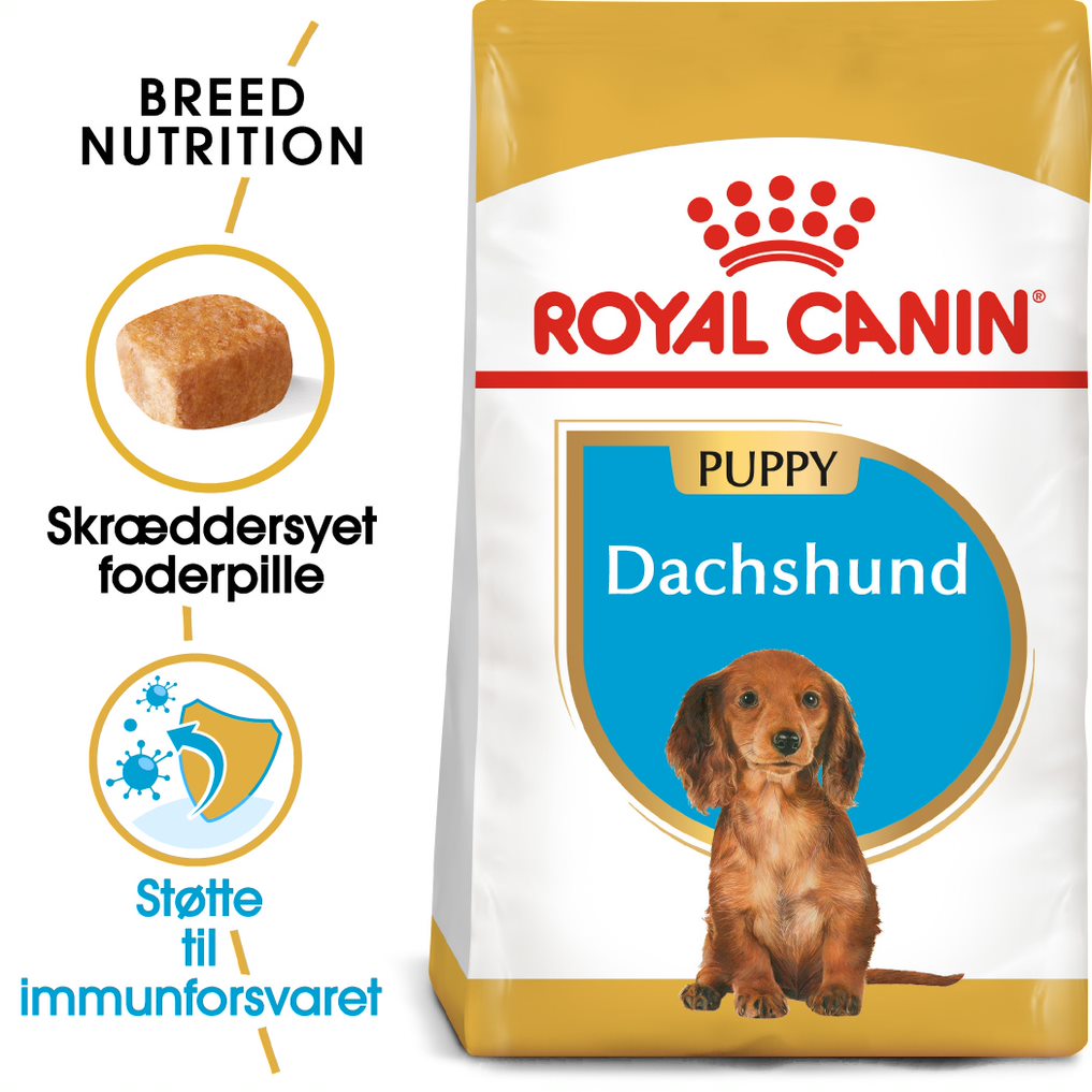 Puppy Gravhund 1,5 kg