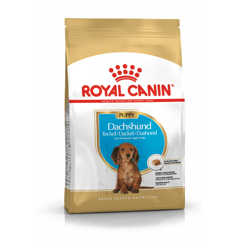 Puppy Gravhund 1,5 kg