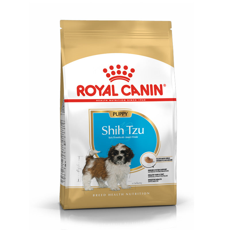 Puppy Shih Tzu 1,5 kg