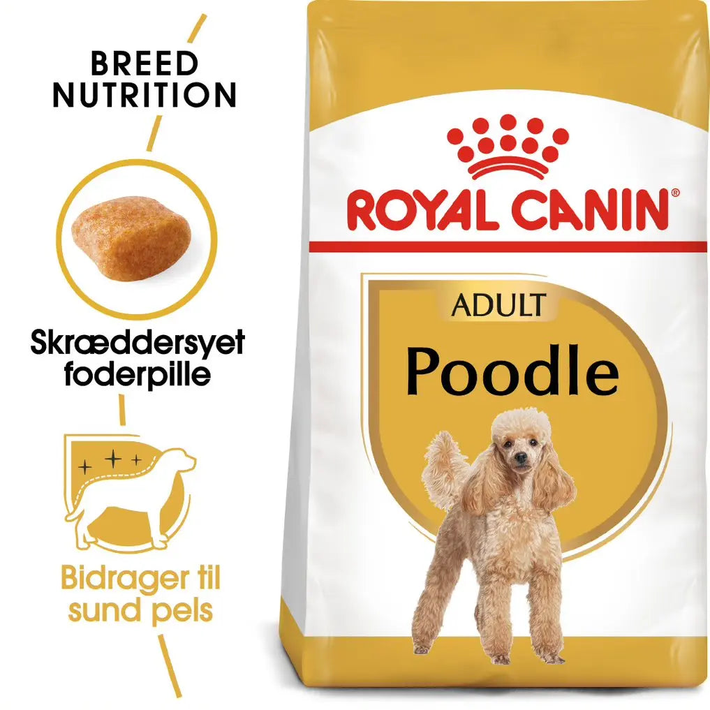 Adult Puddel ROYAL CANIN