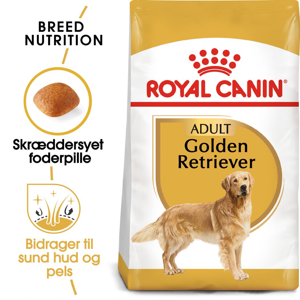 Adult Golden Retriever 12 kg
