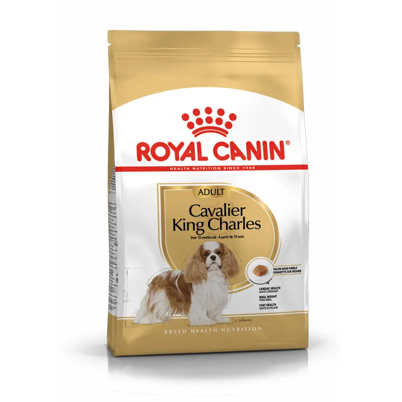 Adult Cavalier King Charles ROYAL CANIN