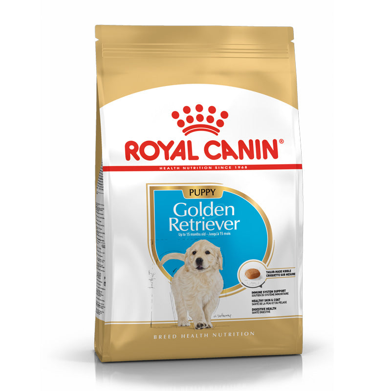 Puppy Golden Retriever 12 kg