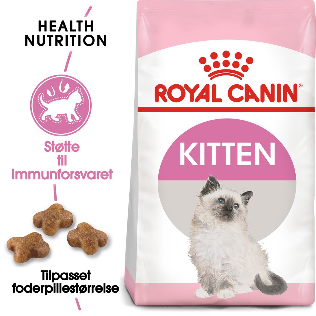 Kitten Digestive Health