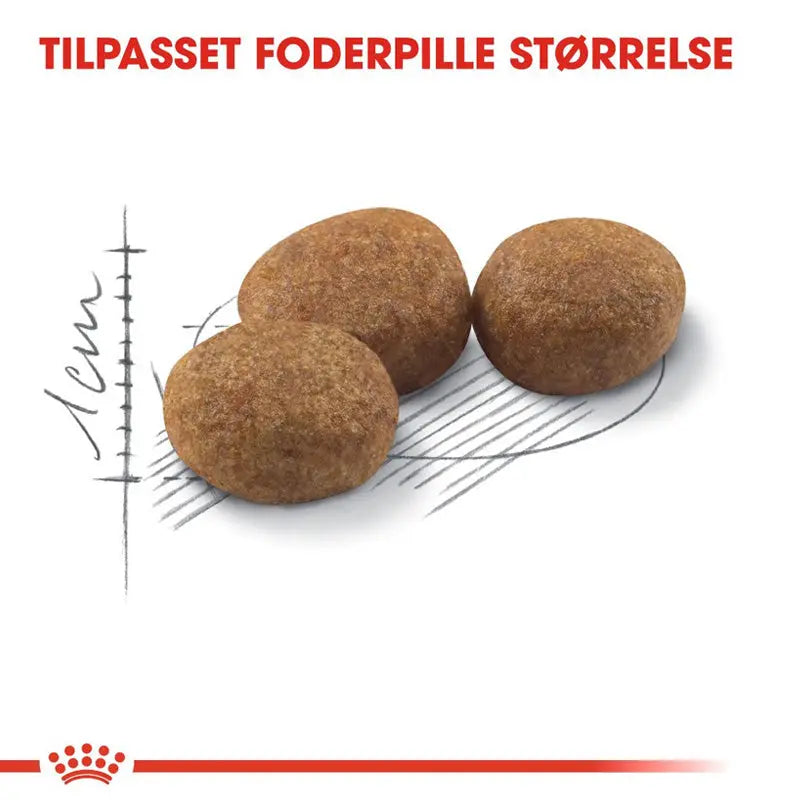 Adult Sterilised 37 - Maxi Zoo Danmark