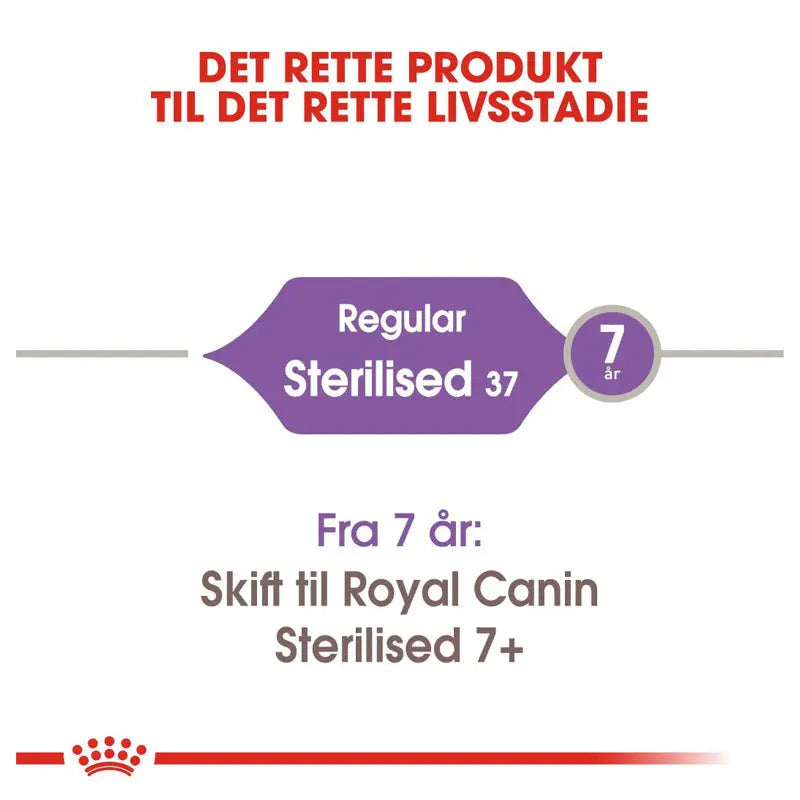 Adult Sterilised 37 - Maxi Zoo Danmark