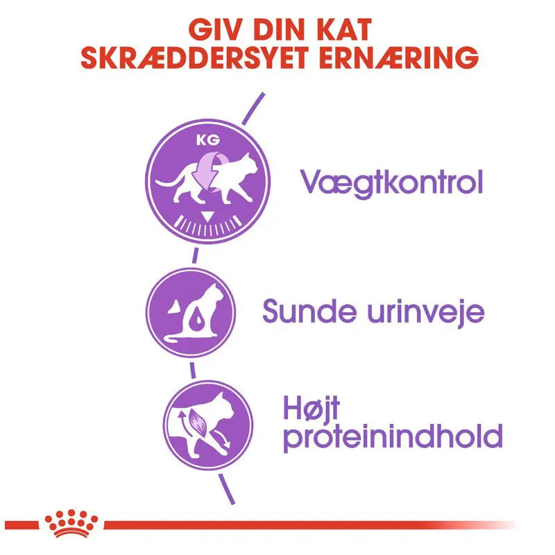 Adult Sterilised 37 - Maxi Zoo Danmark