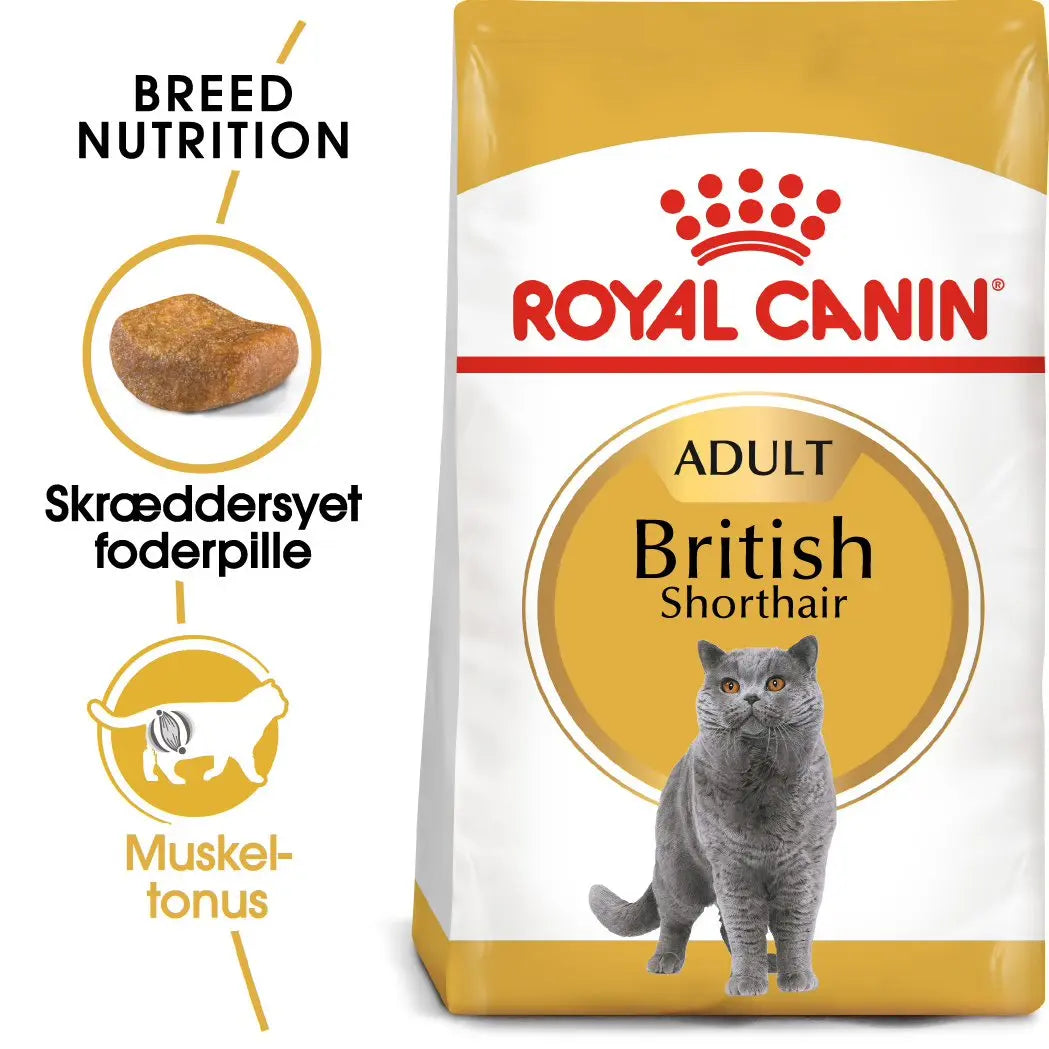 Adult British Shorthair ROYAL CANIN