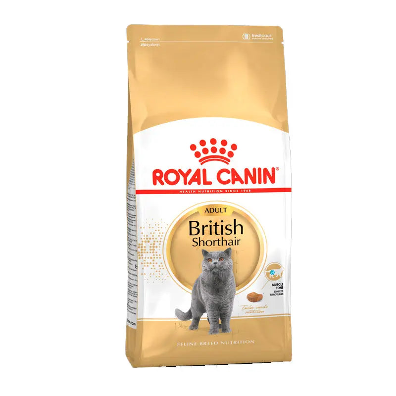 Adult British Shorthair ROYAL CANIN