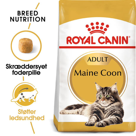 Adult Maine Coon