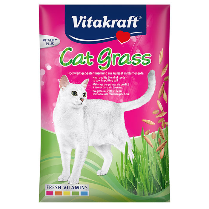 Kattegræs frø Cat-gras 50 g