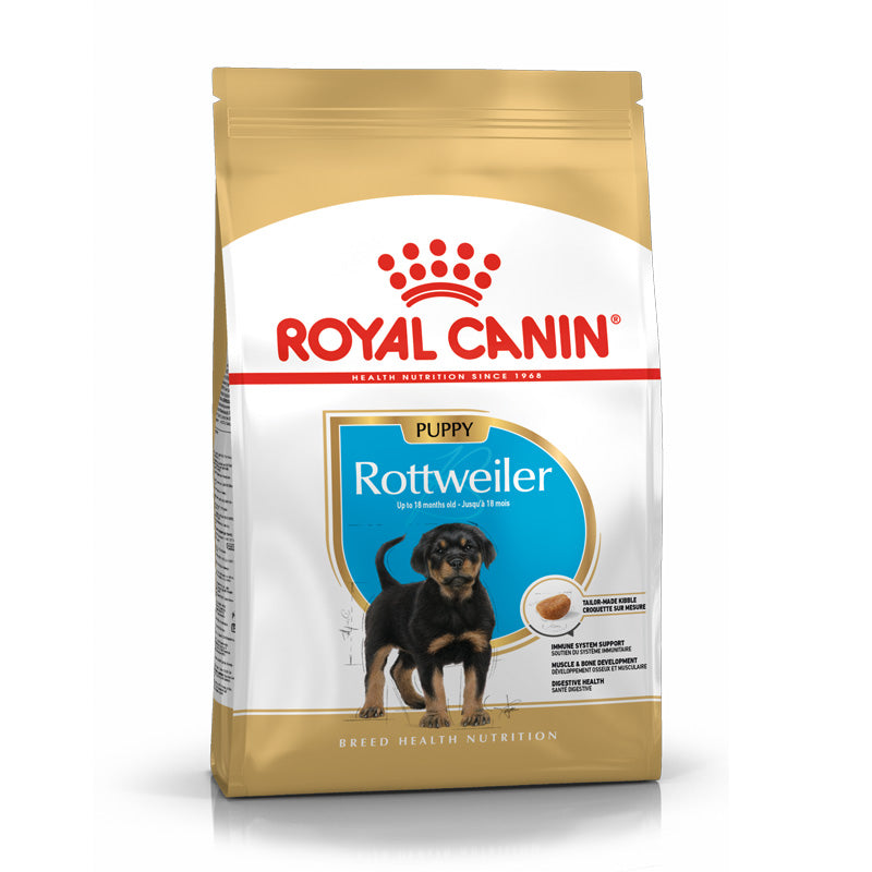 Puppy Rottweiler 12 kg