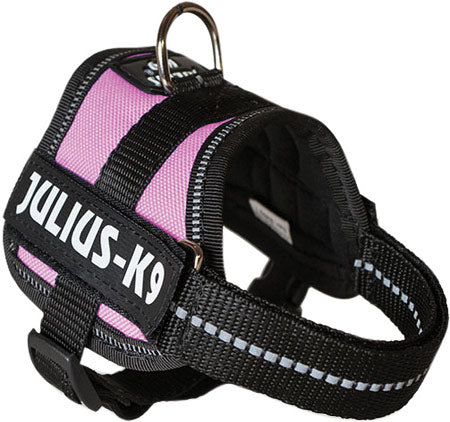 Julius K9 Power-Sele baby 1/XS pink