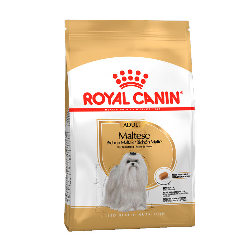 Adult Malteser 1,5 kg