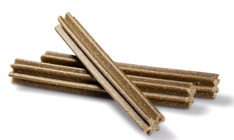 Dental Care Sticks Large mint 28 stk 4x270 g