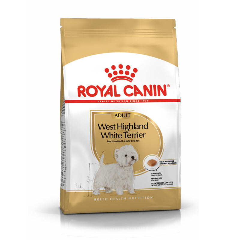 Adult West Highland Terrier 3 kg