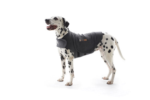 Thundershirt til hund x-large 76-94 cm 30-50 kg grå