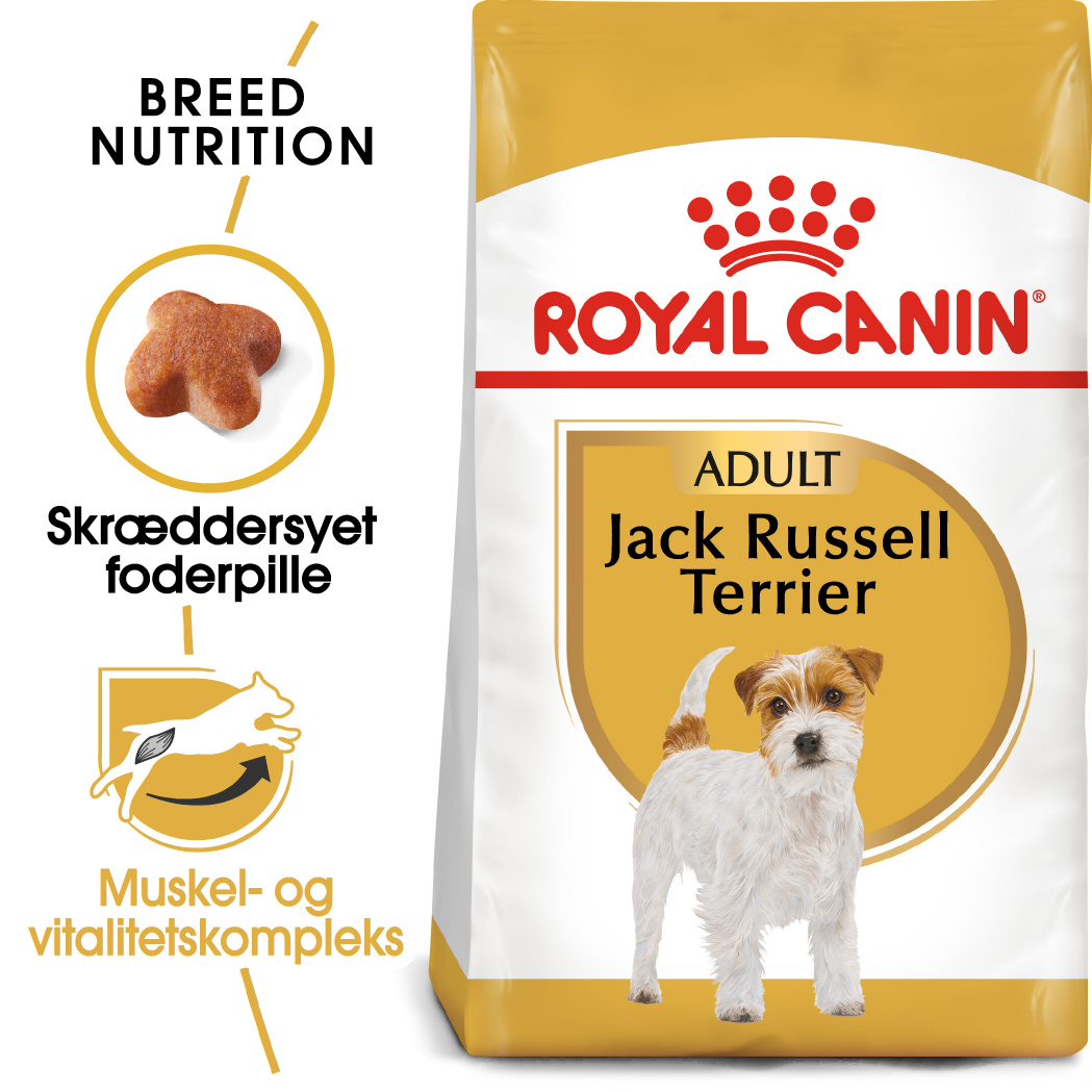 Adult Jack Russel 1,5 kg