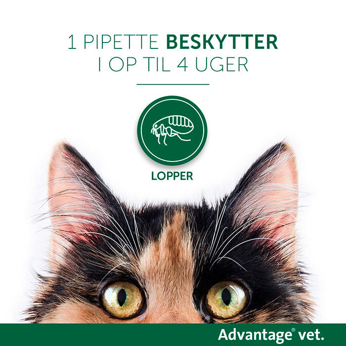 Loppemiddel 4 x 0,4 ml under 4 kg kat