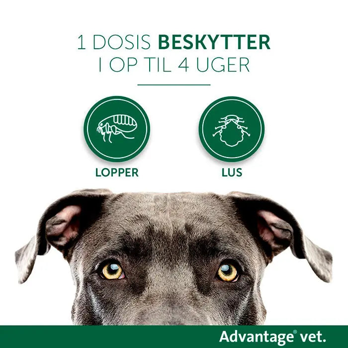 Loppemiddel hund 4-10 kg - 4x1,0 ml - Maxi Zoo Danmark