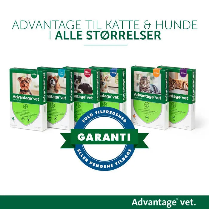 Loppemiddel hund over 25 kg - 4x4,0 ml ADVANTAGE VET