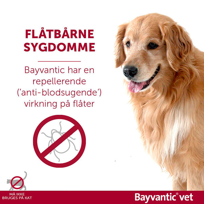 Flåt- og loppemiddel 10-25 kg 4x2,5ml hund