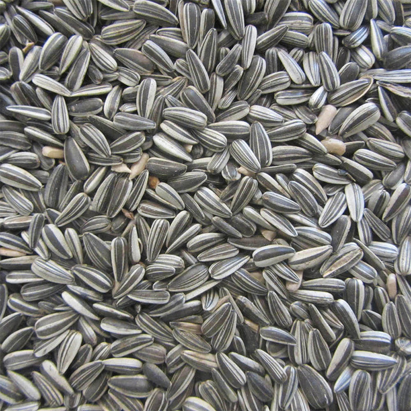 Solsikkefrø stribet 15 kg