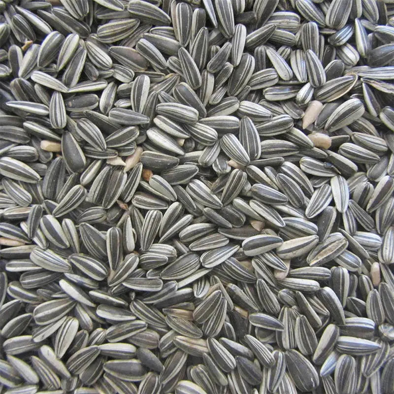 Solsikkefrø stribet 15 kg - Maxi Zoo Danmark