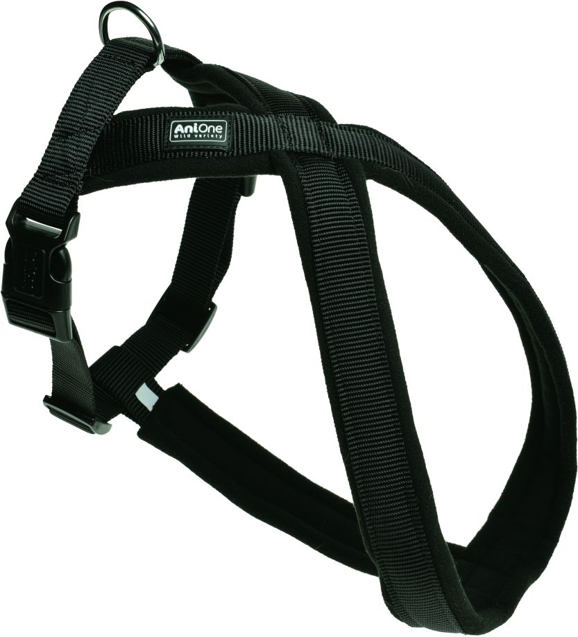 Nylonsele X Classic Sort