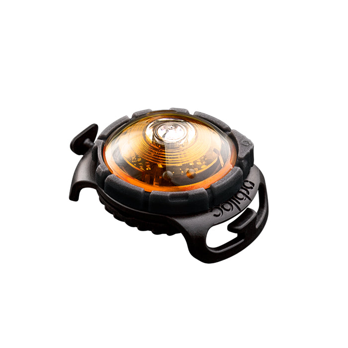 Dog Dual Lygte 48x30x24 mm gul