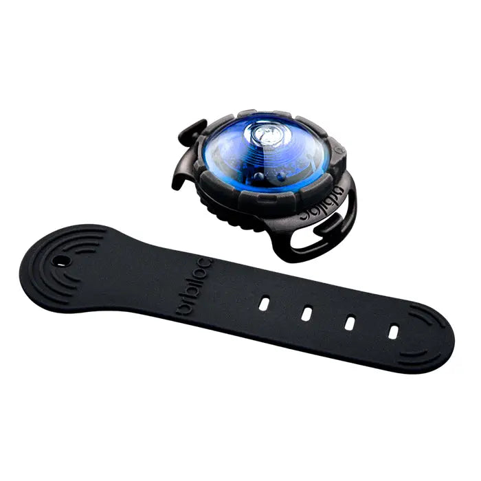 Dog Dual Lygte 48x30x24 mm blå - Maxi Zoo Danmark