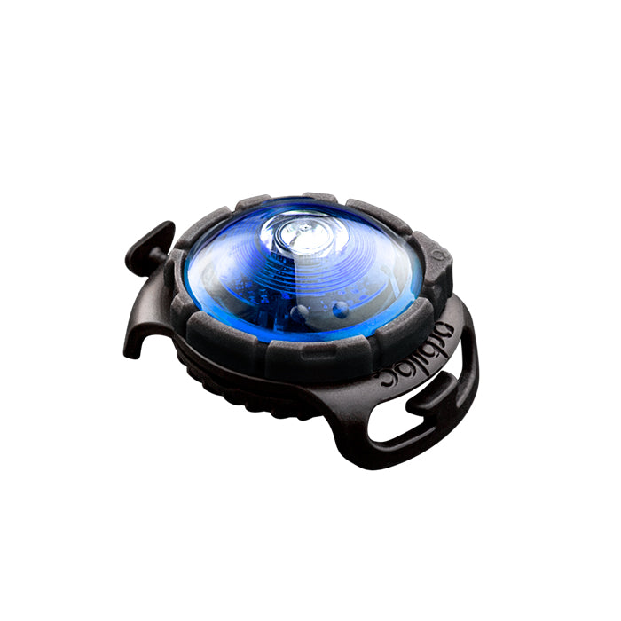 Dog Dual Lygte 48x30x24 mm blå