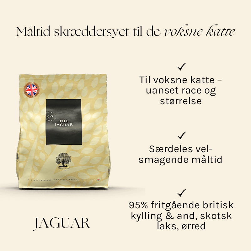 Adult The Jaguar Kylling, and, laks, ørred 3 kg