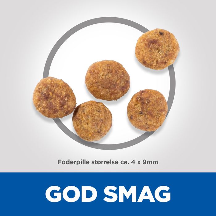 Adult Perfect Weight Mini kylling 6 kg