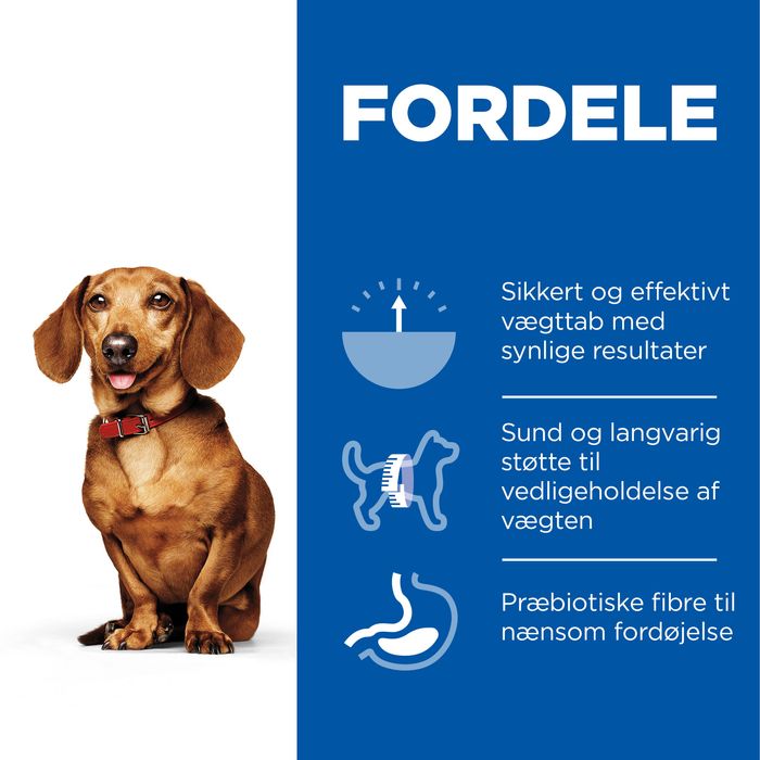 Adult Perfect Weight Mini kylling 6 kg