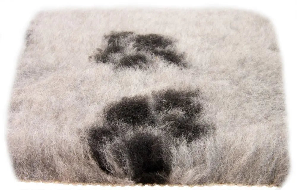 Vet-bed Grå - Maxi Zoo Danmark