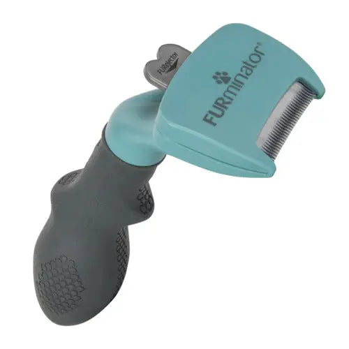 Karte kort hår kat small - Maxi Zoo Danmark