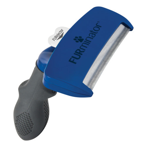 Karte large kort hår