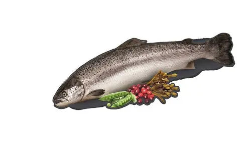 Adult Wilderness Fresh Water fisk 7 kg - Maxi Zoo Danmark