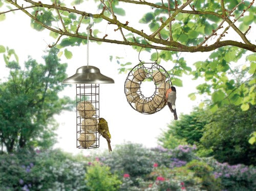 Foderautomat rund t/mejsebolde 10 stk