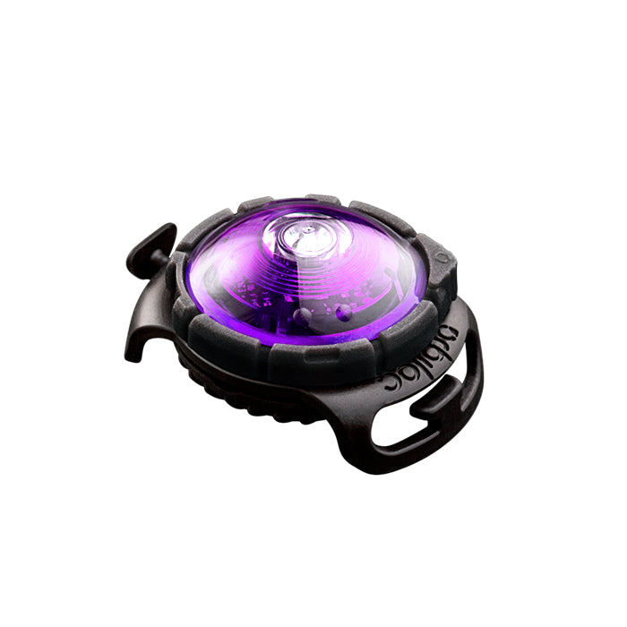 Dog Dual Lygte 48x30x24 mm lilla