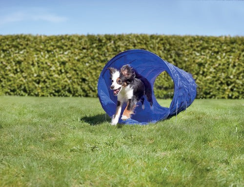 Agility tunnel 250x60 cm blå