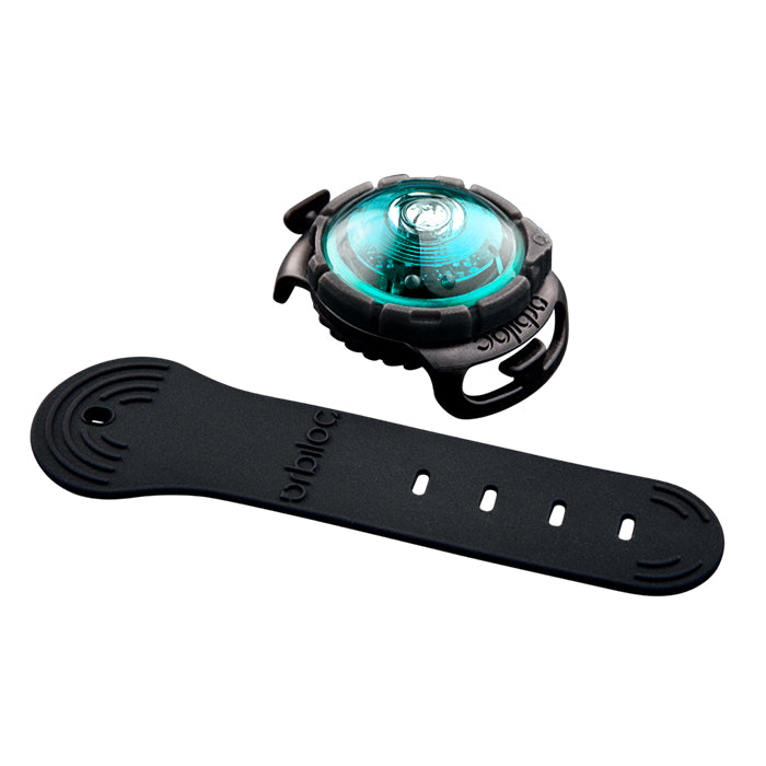 Dog Dual Lygte 48x30x24 mm turkis