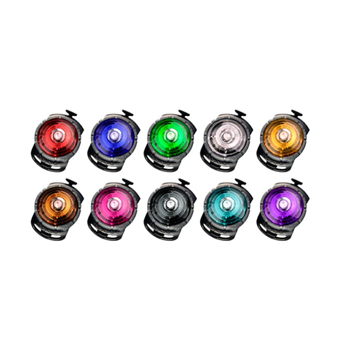 Dog Dual Lygte 48x30x24 mm turkis